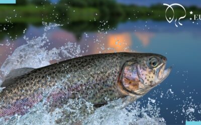 Report from the meeting with National Reference Centres and Supporting Bodies 2025