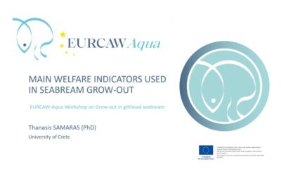 EURCAW-Aqua Workshop on Welfare Assessment in Gilthead Seabream Grow-Out Systems