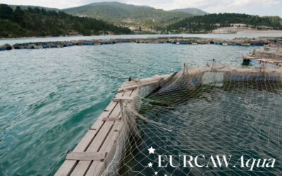 EURCAW Aqua – Roadshow on Farmed Fish Welfare covering EU Legislation and Key Welfare Indicators