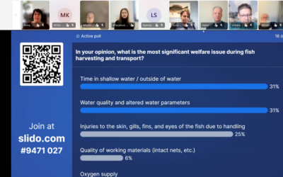 Post-webinar update: Welfare indicators and assessment tools for common carp during transport