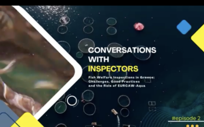 New Vidcast: Conversations with Inspectors – Episode 2